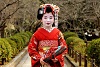 Memoirs of a Geisha*